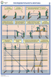 ПС26 Строительные леса (конструкции, монтаж, проверка на безопасность) (ламинированная бумага, a2, 3 листа) - Охрана труда на строительных площадках - Плакаты для строительства - . Магазин Znakstend.ru